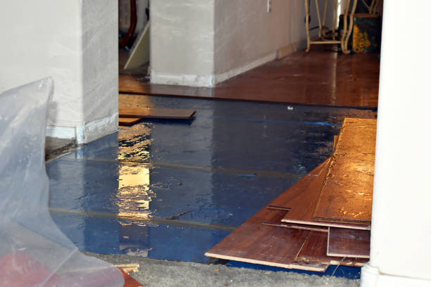 Professional Water Damage Restoration technician working in Blue, AZ